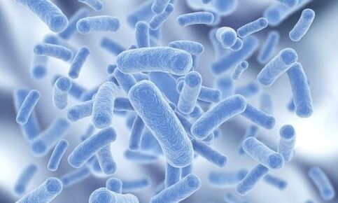 bakterie w organizmie człowieka