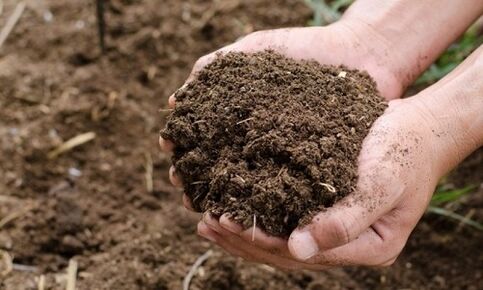 gleba jako źródło zakażenia człowieka pasożytami