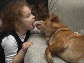 dziecko całuje psa i zostaje zarażone pasożytami