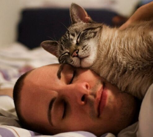 spanie z kotem jako przyczyna zarażenia pasożytami